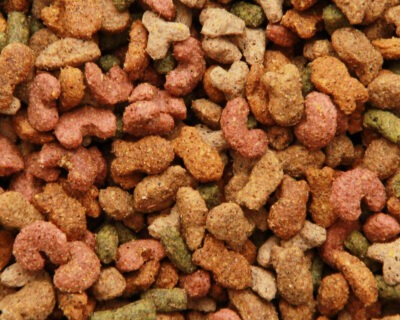 Love Your Pet  Cat Crunch with Salmon & Veg